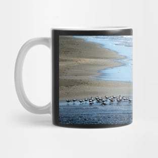 Nicaragua - Oiseaux sur la plage Mug